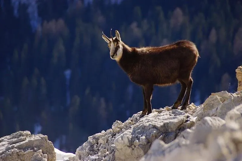 Un Rincon Especial En Vall De Boi Pla de l'Ermita